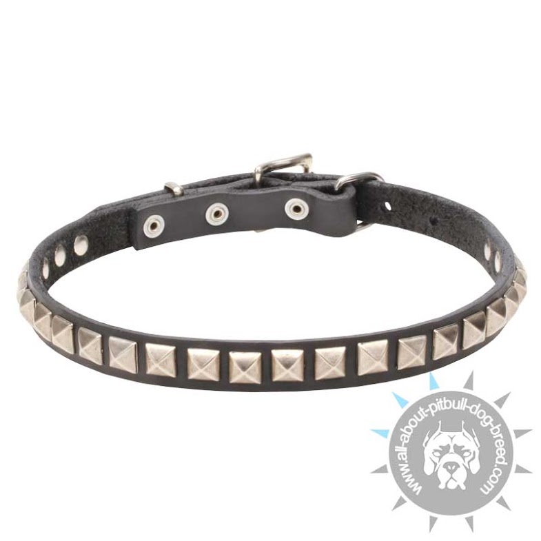 'King Studs' Leather Pitbull Collar with Pyramid-like Studs