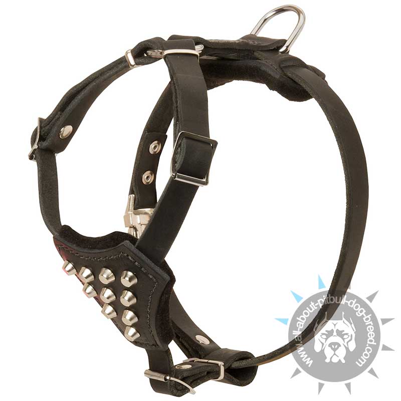 Stylish Studded Leather Harness for Pitbull Puppies