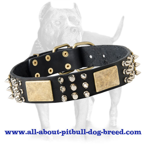Best Spiked Leather Dog Collar-brass massive plates& nickel spike, cone