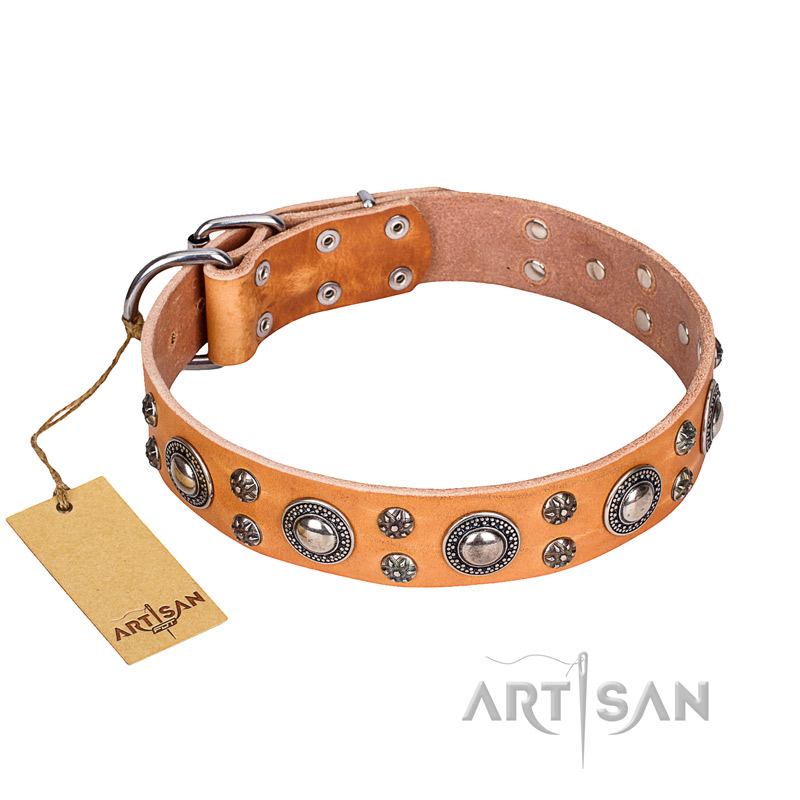 'Extra Sparkle' FDT Artisan Pitbull Tan Leather Dog Collar