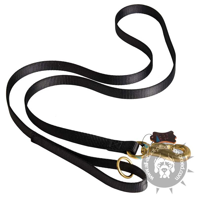 Any Weather Nylon Leads with Extra Strong Snap Hook for Pitbull - Click Image to Close