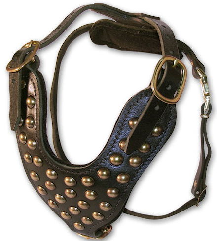 Two-Ply Latigo Dog Harness with Studs for Pitbull