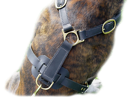 Ultimate Tracking Harness for Pitbull