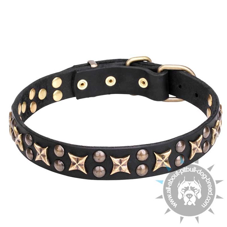 "Vintage Legacy" Leather Collar with Bronze-plated Stars and Studs