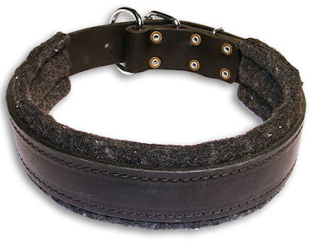 Wide Stitched Leather Dog Collar D Ring in Front Pitbull
