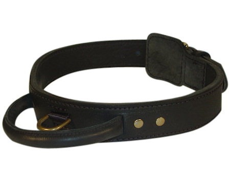 Dog training collar with handle for Pitbull trainings