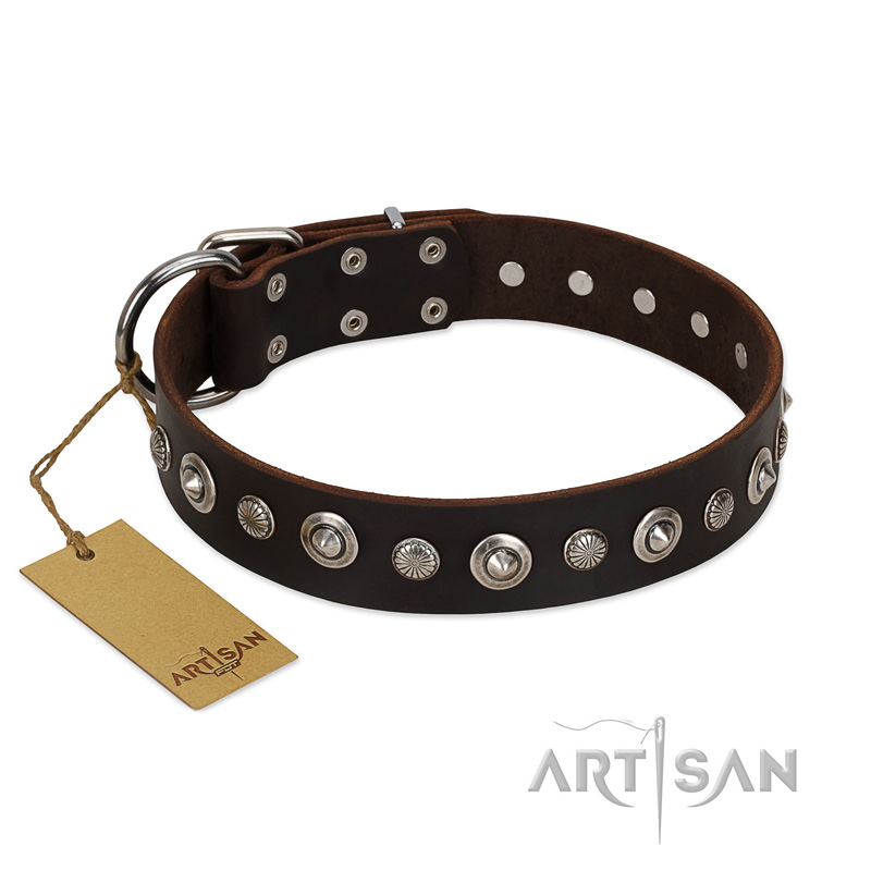 "Gorgeous Shields" FDT Artisan Brown Leather Pitbull Collar with Old Silver-like Circles and Small Camomiles