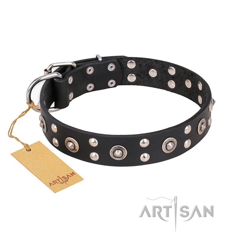 "Refined Essence" FDT Artisan Black Leather Pitbull Collar with Silvery Studs