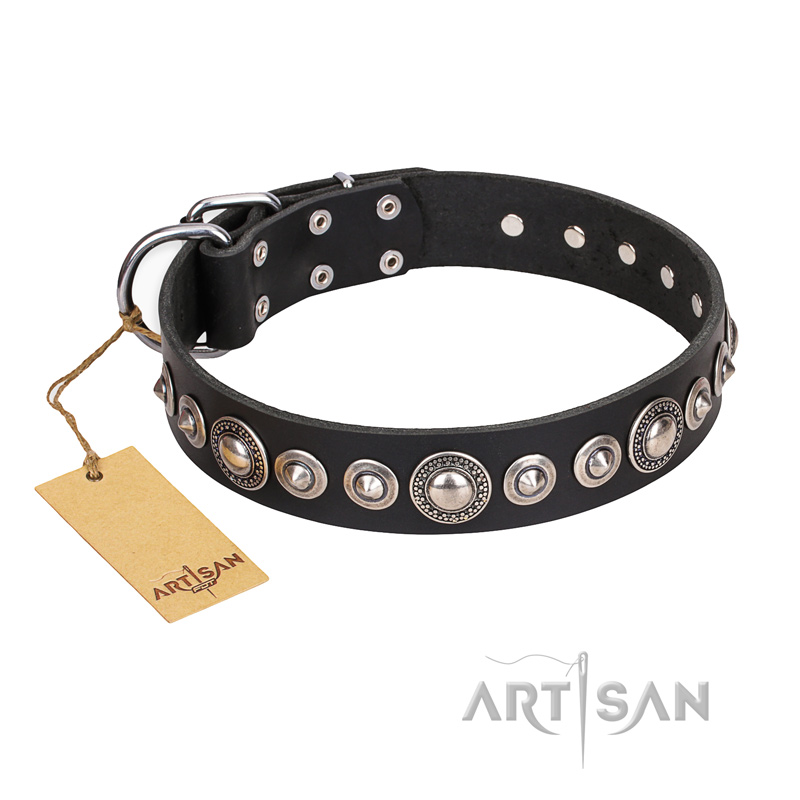 "Strict Elegance" FDT Artisan Black Leather Pitbull Collar with Decorations - Click Image to Close
