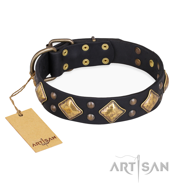 "Fancy-Schmancy" FDT Artisan Studded Leather Pitbull Collar