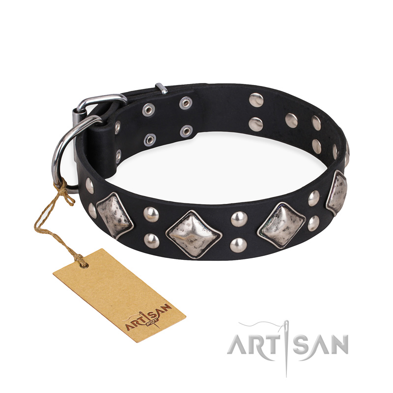 "Smart Geometry" FDT Artisan Studded Leather Pitbull Collar