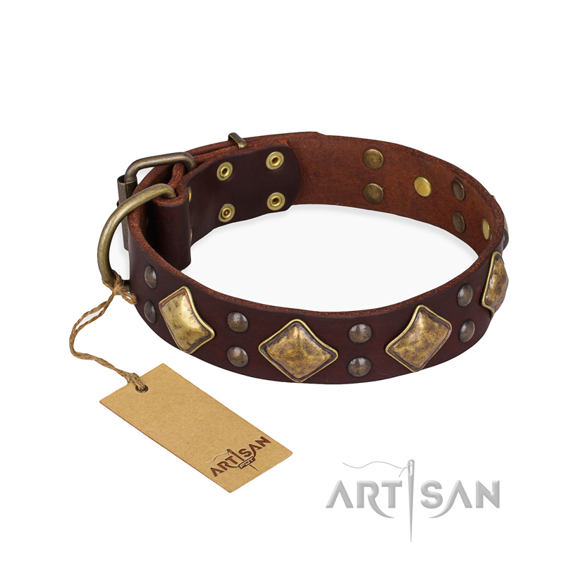 "Golden Square" FDT Artisan Brown Leather Pitbull Collar with Large Squares