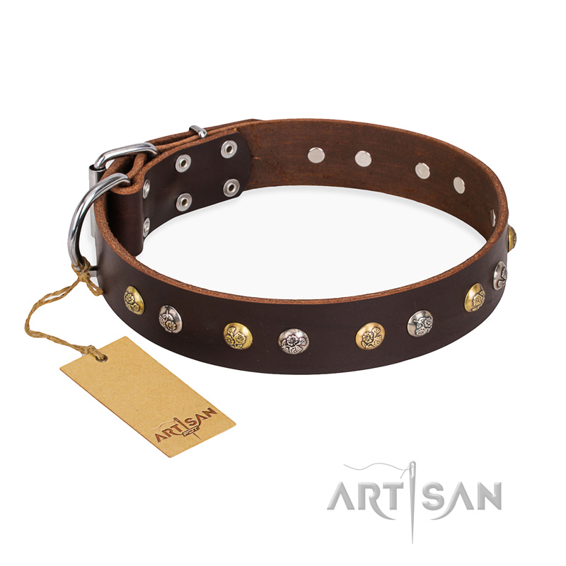 "Golden"n"Silver Luxury" FDT Artisan Leather Pitbull Collar with Engraved Studs