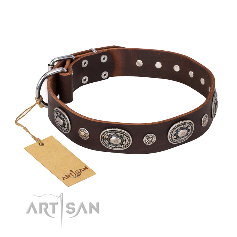 "Extra Pizzazz" FDT Artisan Adorned Brown Leather Pitbull Collar