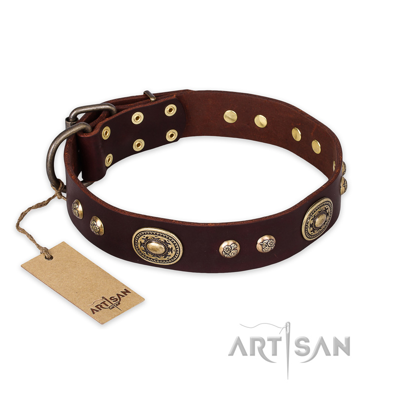 "Breath of Elegance" FDT Artisan Decorated with Plates Brown Leather Pitbull Collar