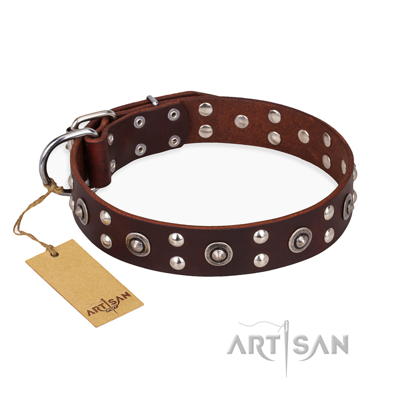 "Pirate Treasure" FDT Artisan Exciting Brown Leather Pitbull Collar with Studs
