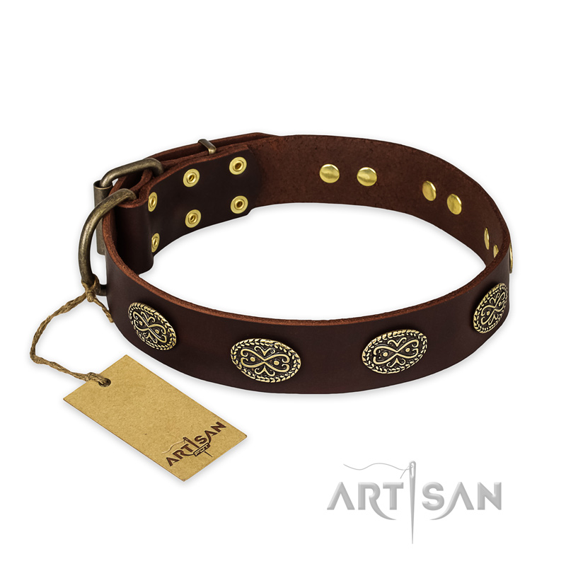 "Chocolate kiss" FDT Artisan Leather Pitbull Collar with Old Bronze Look Oval Plates