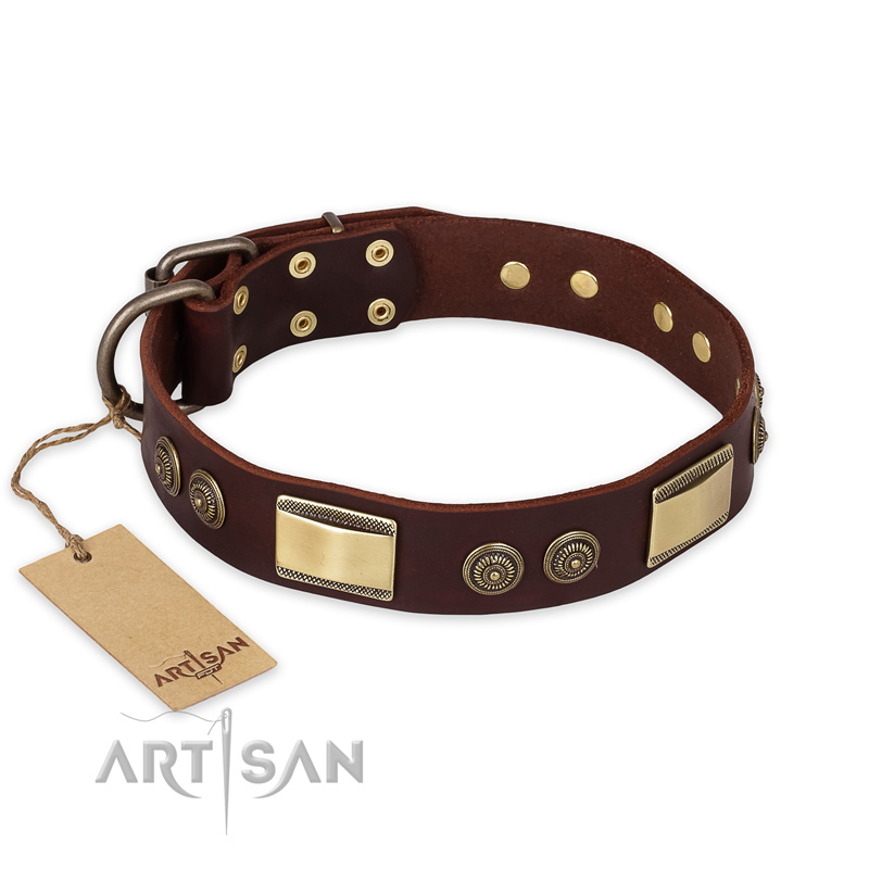 "Golden Stones" FDT Artisan Brown Leather Pitbull Collar with Old Bronze Look Plates and Circles - Click Image to Close