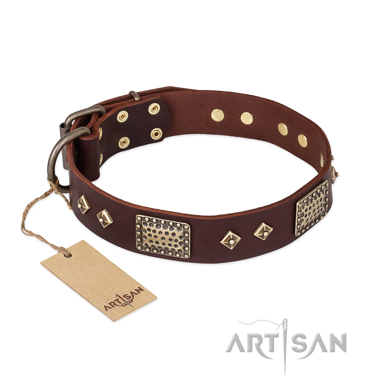 "Loving Owner" FDT Artisan Decorated Leather Pitbull Collar with Plates and Studs - Click Image to Close