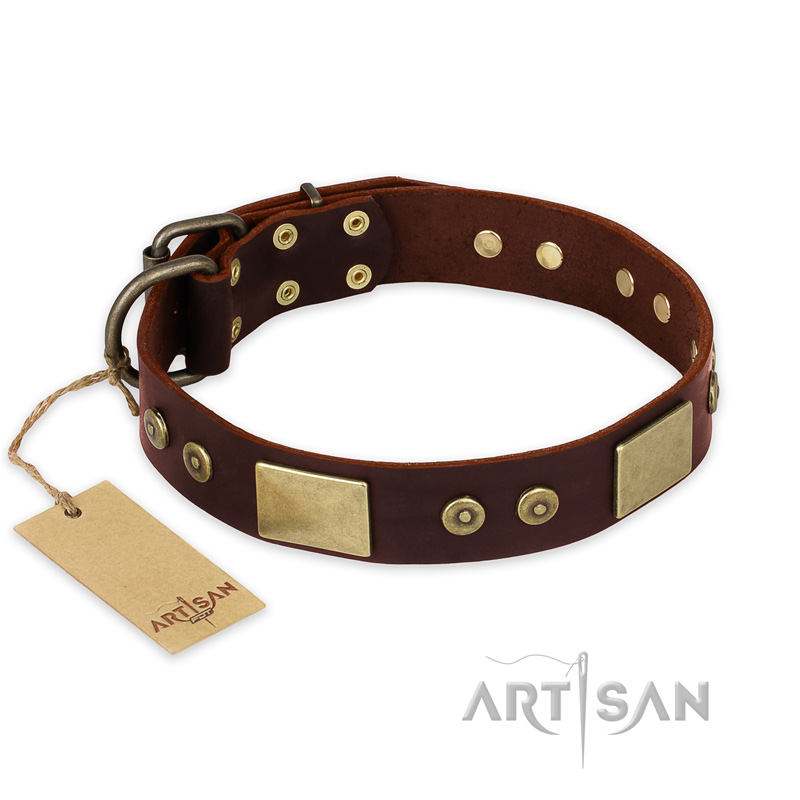 "Shining Armour" FDT Artisan Brown Leather Pitbull Collar with Decorations