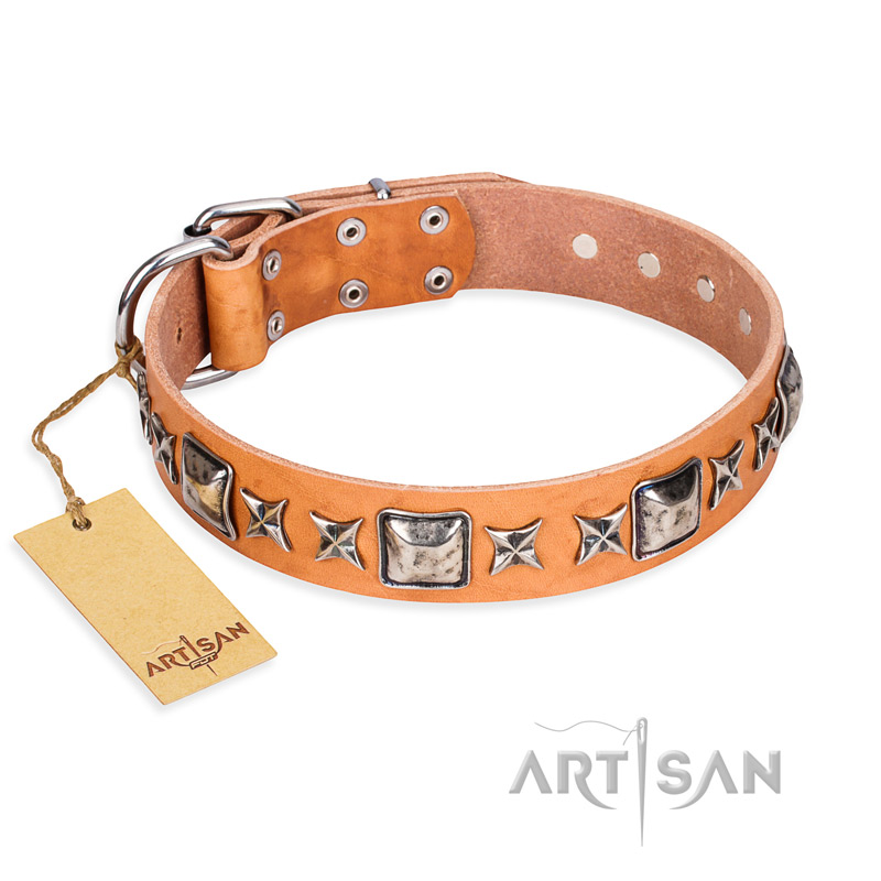 "Glamour Finery" FDT Artisan Female Pitbull collar of natural leather with stylish old-looking circles - Click Image to Close