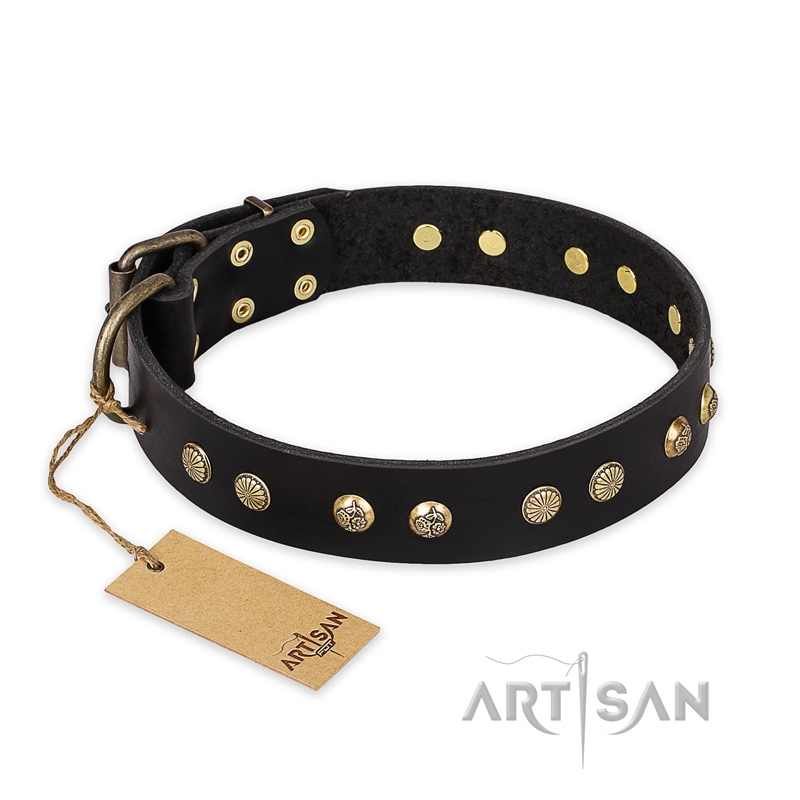 "Black Elegance" FDT Artisan Leather Pitbull Collar with Round Studs