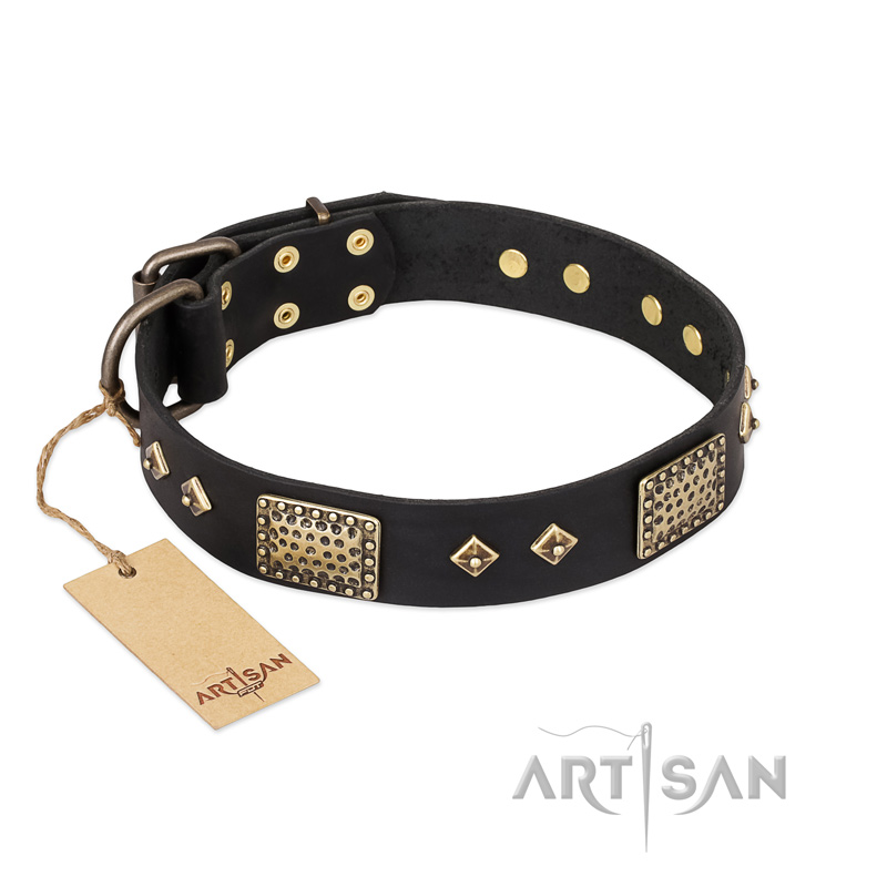 "Jewel Passion" FDT Artisan Fashionable Black Leather Pitbull Collar - Click Image to Close