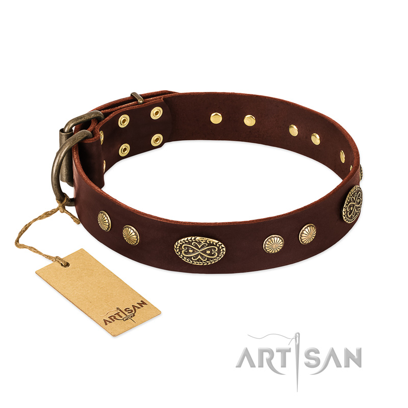 "Old-fashioned Glamor" FDT Artisan Brown Leather Pitbull Collar with Old Bronze Look Plates and Circles
