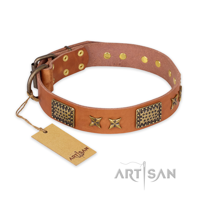 "Cosmic Traveller" FDT Artisan Adorned Leather Pitbull Collar with Old Bronze-Plated Stars and Plates - Click Image to Close