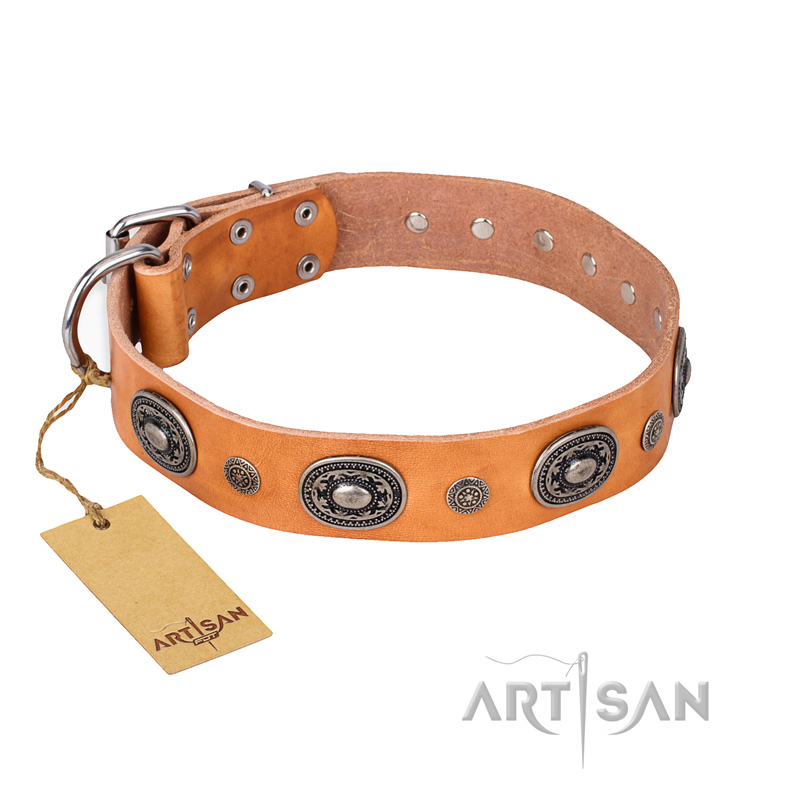 "Twinkle Twinkle" FDT Artisan Incredible Studded Tan Leather Pitbull Collar