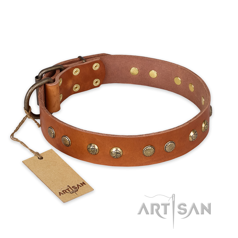 "Spring Flavor" FDT Artisan Adorned Leather Pitbull Collar with Old Bronze-Plated Engraved Studs