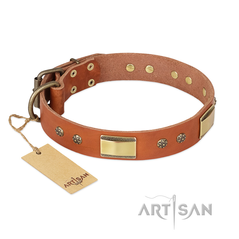 "Enchanting Spectacle" FDT Artisan Tan Leather Pitbull Collar with Old Bronze Look Plates and Round Studs - Click Image to Close
