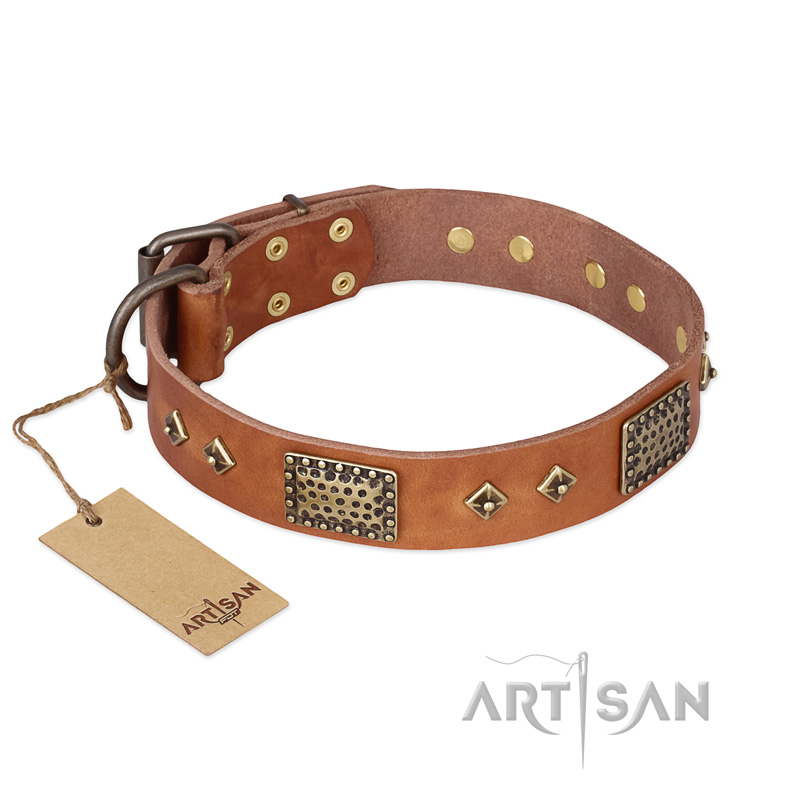 "Catchy Look" FDT Artisan Decorated Tan Leather Pitbull Collar