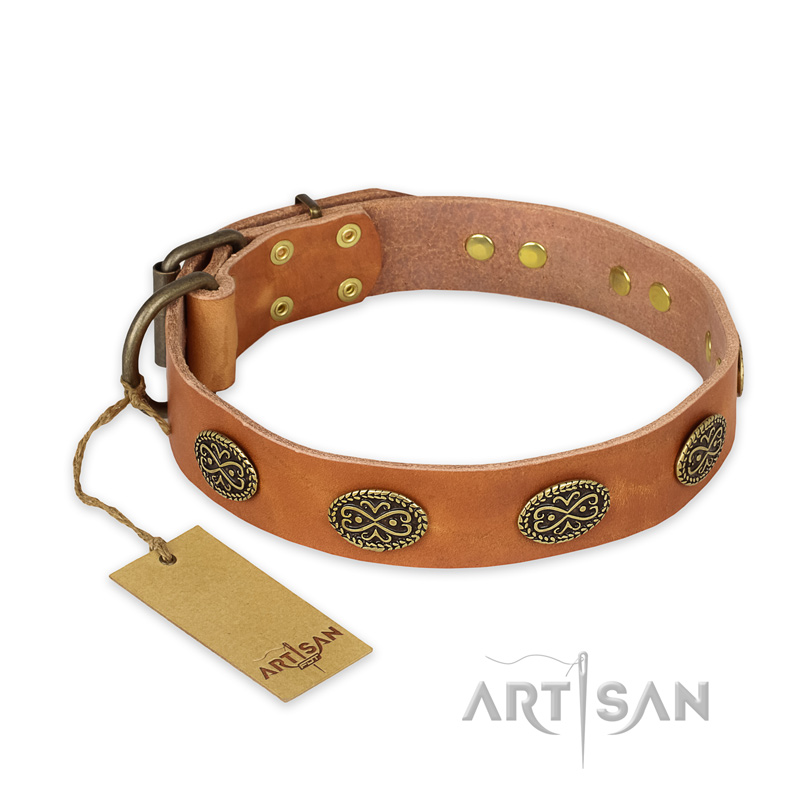 "Magic Amulet" FDT Artisan Tan Leather Pitbull Collar with Oval Studs
