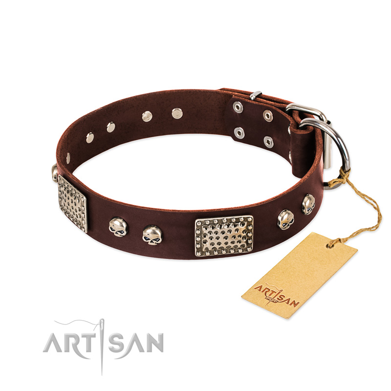 "Pirate Skull" FDT Artisan Brown Leather Pitbull Collar with Old Silver Look Plates and Skulls