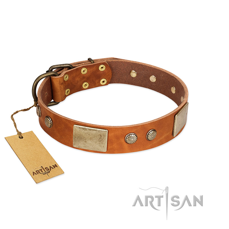 "Ancient Treasures" FDT Artisan Tan Leather Pitbull Collar with Antiqued Plates and Studs