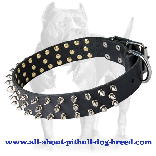 Black Leather Spiked dog Collar for Pitbull