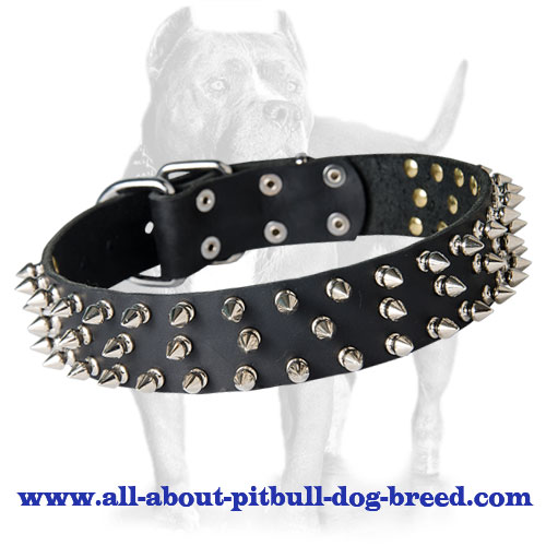 Black Leather Spiked dog Collar for Pitbull