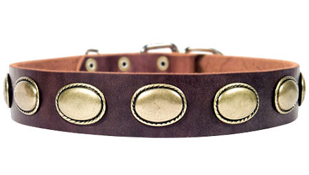 High Quality Leather Dog Collar for Pitbull
