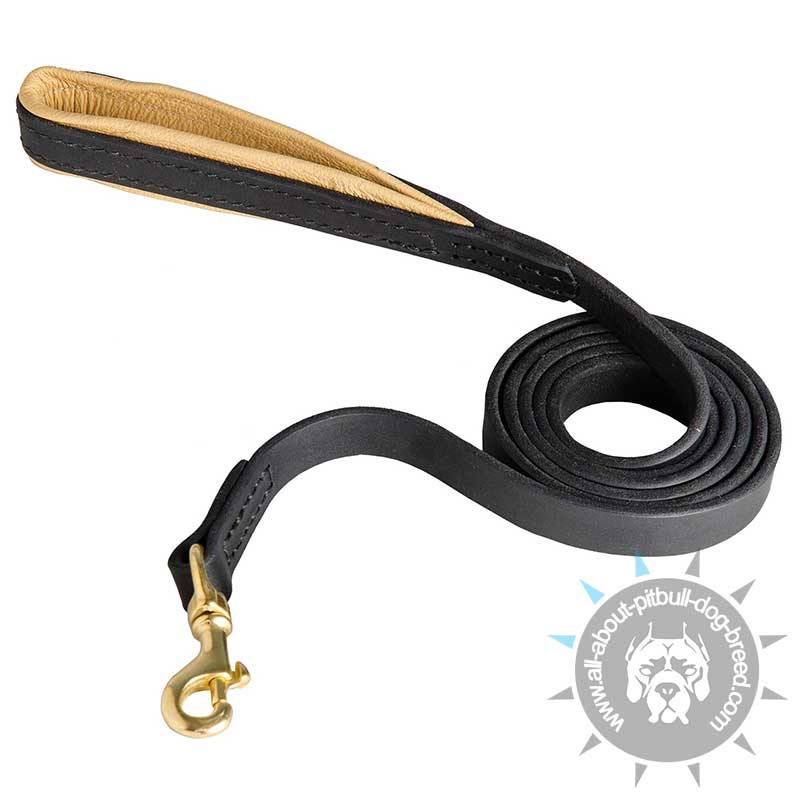 Handmade Strong Dog Leash with Support Material on The Handle - Click Image to Close