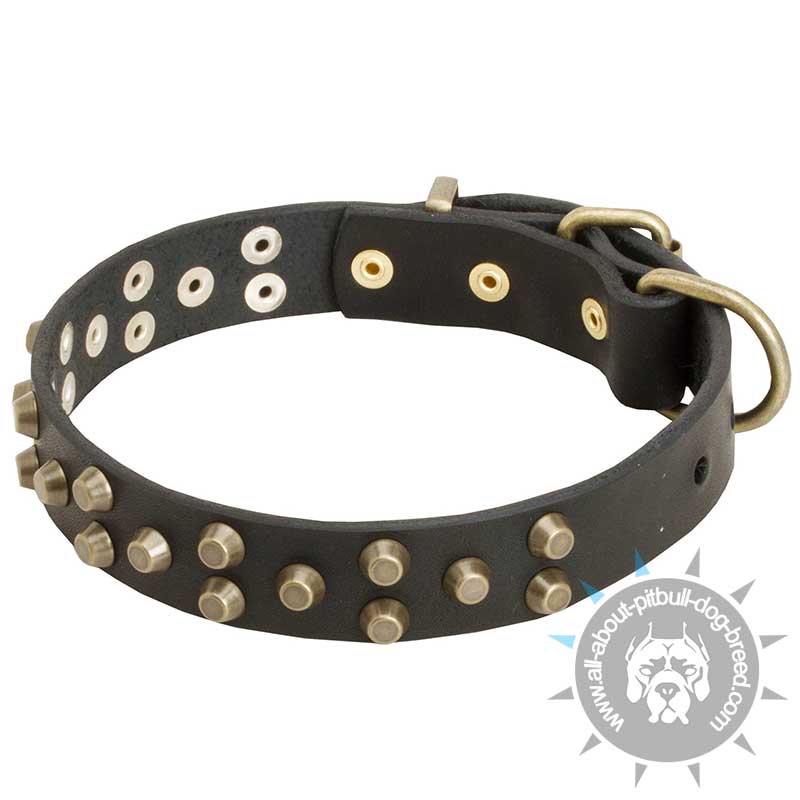 Fashionable Leather Pitbull Collar with 3 Rows of Brass Pyramids - Click Image to Close