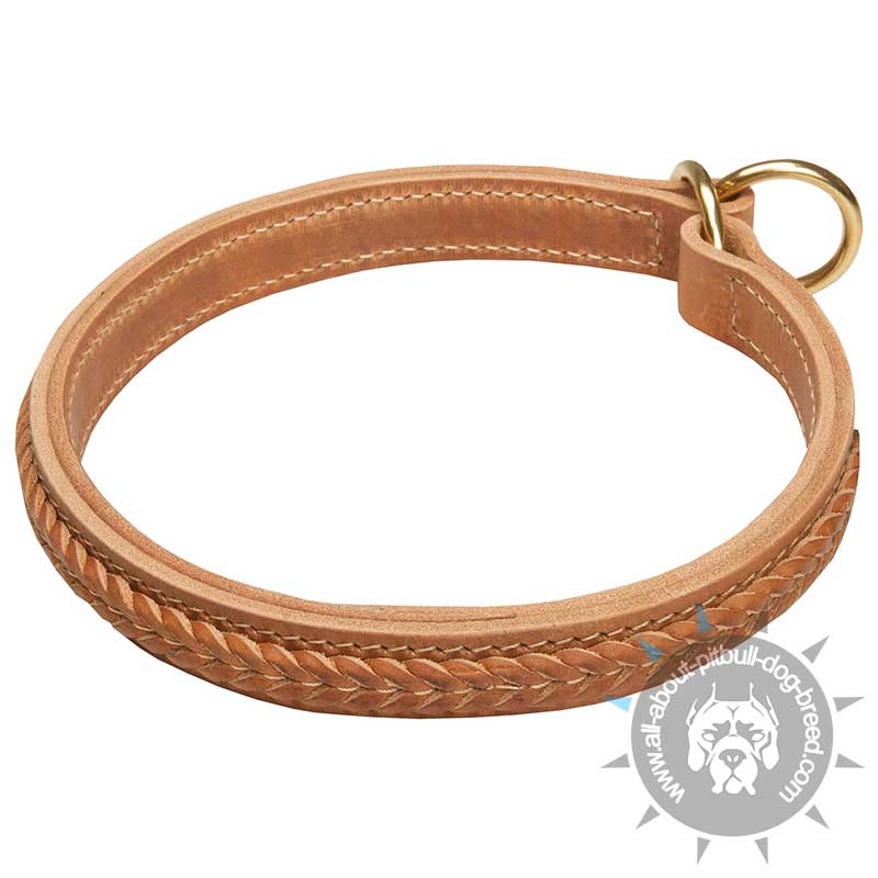Gorgeous Wide 2 Ply Leather Choke Dog Collar - Click Image to Close