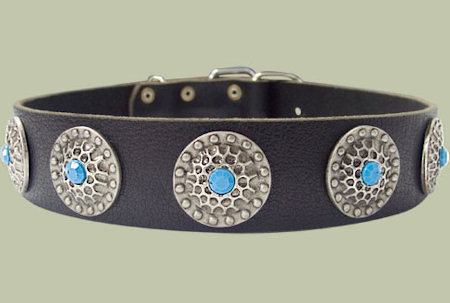 Leather Designer dog collar for PITBULL