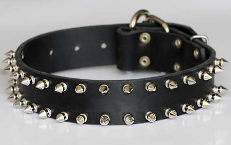 leather spiked dog collar 