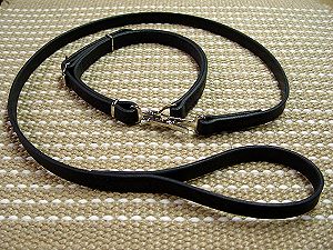 Police Service / hunting Pitbull Collar- Leash Combo of Leather