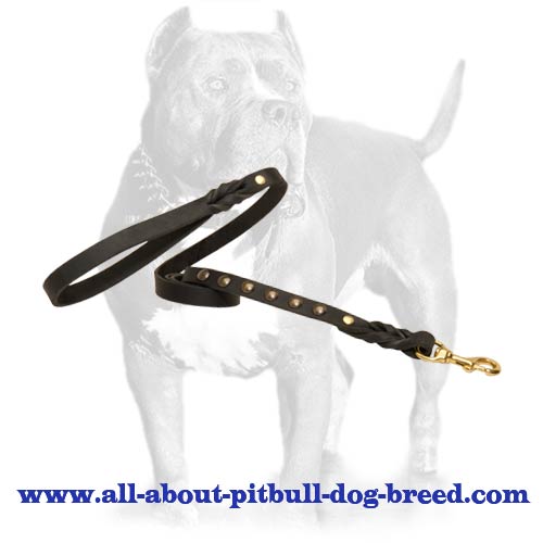 Uniquely Studded Leather Dog Leash for Walking and Tracking - Click Image to Close