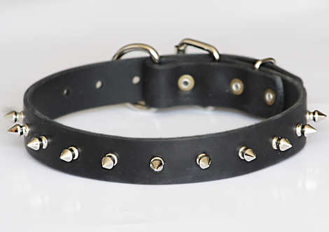 Puppy Spiked Dog Collar- 1 Row of spikes dog collar