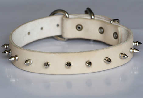 leather spiked and studded  dog collar 