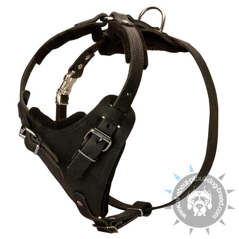 Super Comfortable Leather Dog Harness for Attack/Agitation Training