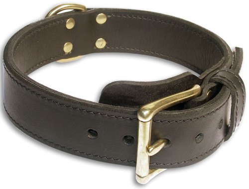 Best Agitation 2 Ply Leather Dog Collar with Fur Protective Plate